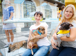 Экстрим-фест, мастерская «Чудо глина» – на что новороссийцы потратят президентские гранты