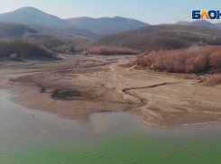 «Запасайтесь водой, другого выхода нет»: Неберджаевское водохранилище пересохло 