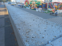 «Заср*нное лицо города» неприятно удивило жительницу Новороссийска 