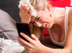 Новороссийцы - не мамонты, не вымрут: мошенники наживились на 1,2 миллиона 