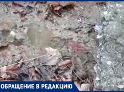 Новороссийцы стали заложниками предприимчивой соседки 