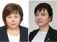 Администрация Новороссийска оказалась не замешана в молочном скандале