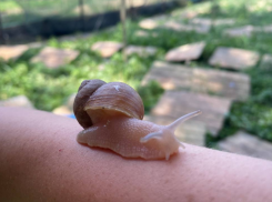 Гороскоп от «Блокнота»: Стрельцам пора поработать, а Козероги найдут приключения