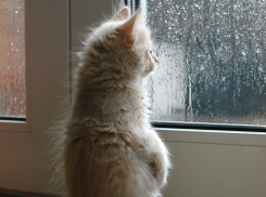 Не опять, а снова: синоптики обещают дождь в Новороссийске