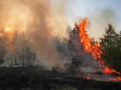 Осторожно, майские! В Новороссийске патрулируют леса на противопожарную безопасность