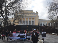 Готова вторая часть видеообращения к президенту в защиту животных, снятая в Новороссийске