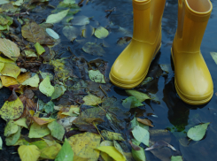 Сколько стоил проект очистного сооружения ливневых вод в Новороссийске