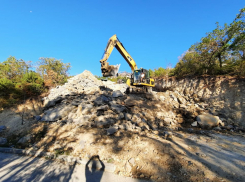«Вот, гребут, уничтожают можжевельники», - новороссиец обнаружил угрозу лесному фонду