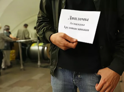 Медикам с дипломами «из перехода» в больницах не место: Володин о новом законе в здравоохранении