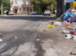 «Контейнеры не видно из-за мусора»: помощница депутата ЗакСобрания от КПРФ разобрала мусорную кучу в Геленджике