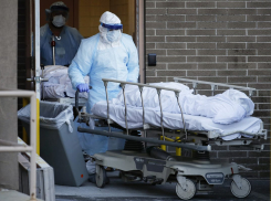 После выборов в Новороссийске шесть человек заразились коронавирусом