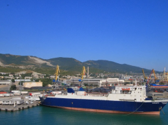 На морские рейсы из Новороссийска в Сочи выделили больше 135 миллионов