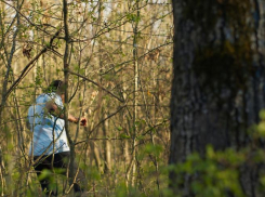 «А мог и её»: приезжий украл, выпотрошил и продал имущество жительницы Новороссийска