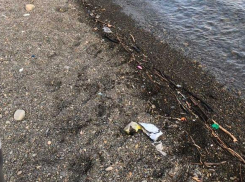 «250 рублей вход, чтобы люди купались в этом …», - новороссийцы о пляже в Абрау-Дюрсо