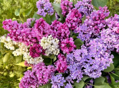 Близнецам звезды советуют заняться творчеством, а Тельцам пора позаботиться о себе