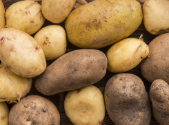 Цена дня: картошка в Новороссийске дешеветь не думает… 