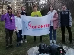 Волонтёры Новороссийска ищут партнёров для организации «Маминого дня»