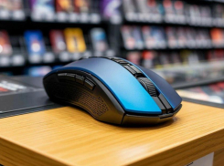 «Мышка бежала, хвостиком махнула»: зумеры из Новороссийска обвиняются в краже