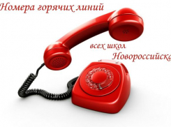 Помощь на дистанционке: список горячих линий всех школ Новороссийска