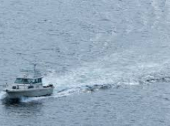 У соседей Новороссийска капитан судна нарушил режим государственной границы и поплатился