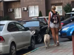 Собака напала на двух детей в лифте одного из новороссийских домов