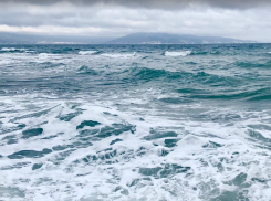 Зима близко: в Новороссийске остывает море 