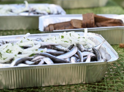 Новороссийскую хамсу проверят на безопасность 