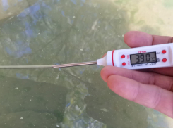 +39 по Цельсию: вода в Южных прудах продолжает нагреваться 