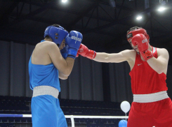 На соревнованиях в Майкопе новороссийские боксеры завоевали золото и бронзу 