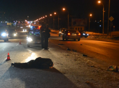 Новороссиец погиб под колесами автомобиля