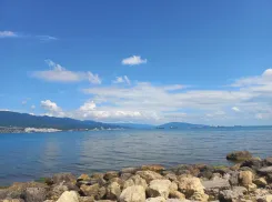 В Новороссийске ввели туристический налог вместо курортного сбора: что это такое 