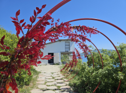 Гороскоп от «Блокнота»: близнецам говорить «Да», а ракам усмирить свою гордость 