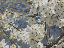 В день работника культуры России в нашем городе будет хорошая погода