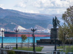Погода в Новороссийске: тепло и солнечно — новороссийцев ожидают прекрасные выходные