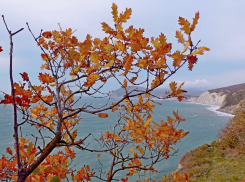 В конце рабочей недели новороссийцы смогут насладиться настоящей осенью