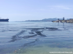 Море Новороссийска покрылось серой пленкой: что произошло? 