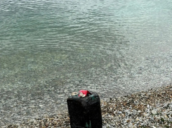 Хулиганы перешли все границы: на пляжах Новороссийска обнаружили разлитое машинное масло вместо мазута 