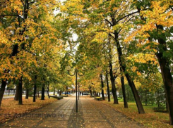 Во сколько бюджету Новороссийска в 2021 году обойдутся зелёные насаждения