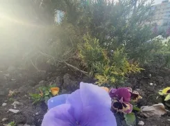 Снимаем шубы: уже к выходным в Новороссийск накроет теплый фронт