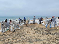 Чёрное море и пляжи можно очистить от мазута с помощью угля: предложение учёных 