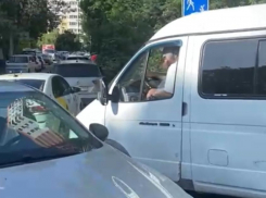 Против газелей новороссийцы хотят пустить в ход ёжиков