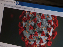 Новороссийцы могут пройти онлайн тест на коронавирус
