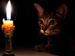 Новый день - новые отключения: какие улицы останутся без света в Новороссийске 