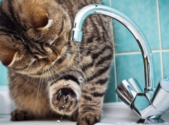 Три часа в день: в Новороссийске ограничат подачу воды 