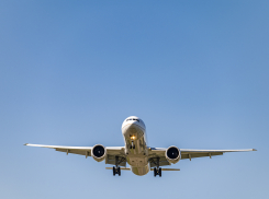 «Я все возлагал на него»: пострадавшего от голодных собак мальчика перевезут в Москву