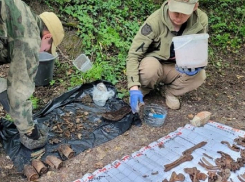 На своем участке новороссиец нашел останки и боеприпасы