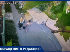 Женщины с коляской вытряхнули котят из пакета на асфальт в Новороссийске