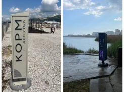 Аппараты с правильным кормом для уток появились на пляжах Новороссийска