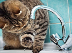 80 тысяч новороссийцев останутся без холодной воды