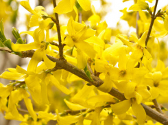 Ветер стихнет и выглянет солнце: какой будет суббота в Новороссийске